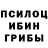 Псилоцибиновые грибы мицелий Lucid Dreamz