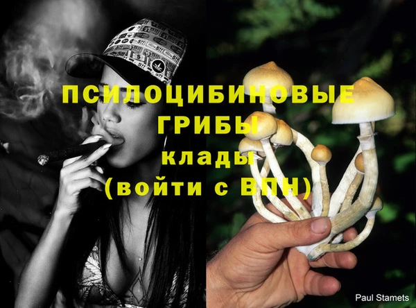 спиды Баксан