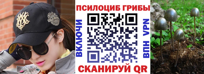 где продают   OMG ТОР  Псилоцибиновые грибы ЛСД  Пласт 